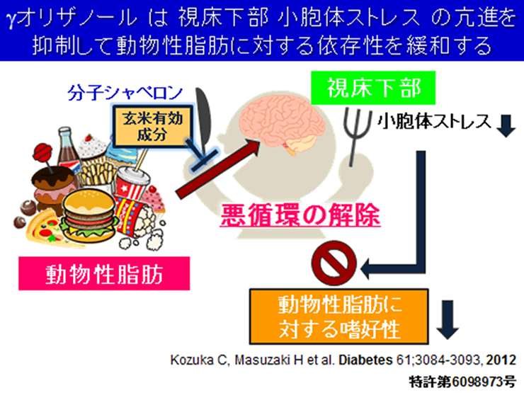 γ-オリザノール