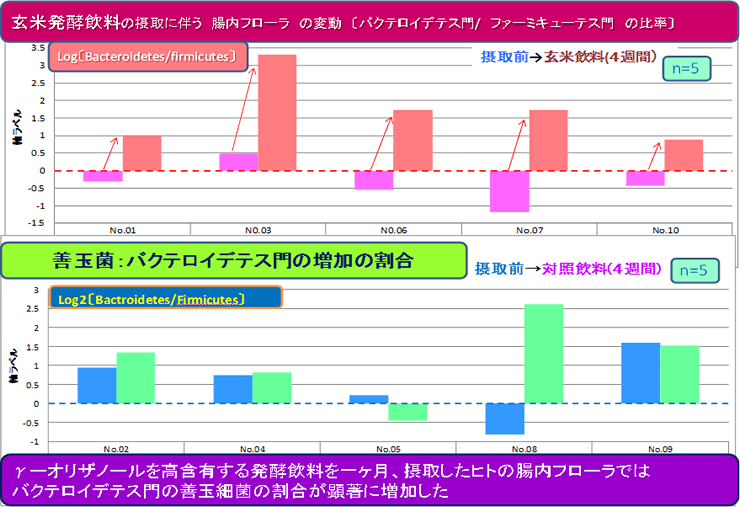 腸内フローラ