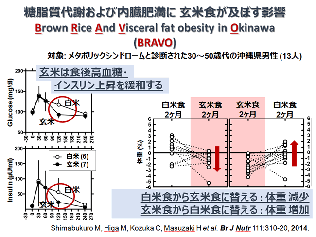 糖脂質代謝および内臓肥満に玄米食が及ぼす影響