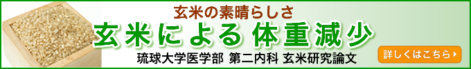 玄米オリザーノ甘酒|研究論文