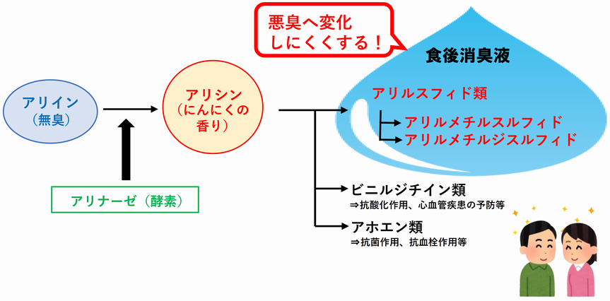 食後消臭化にんにくの仕組み